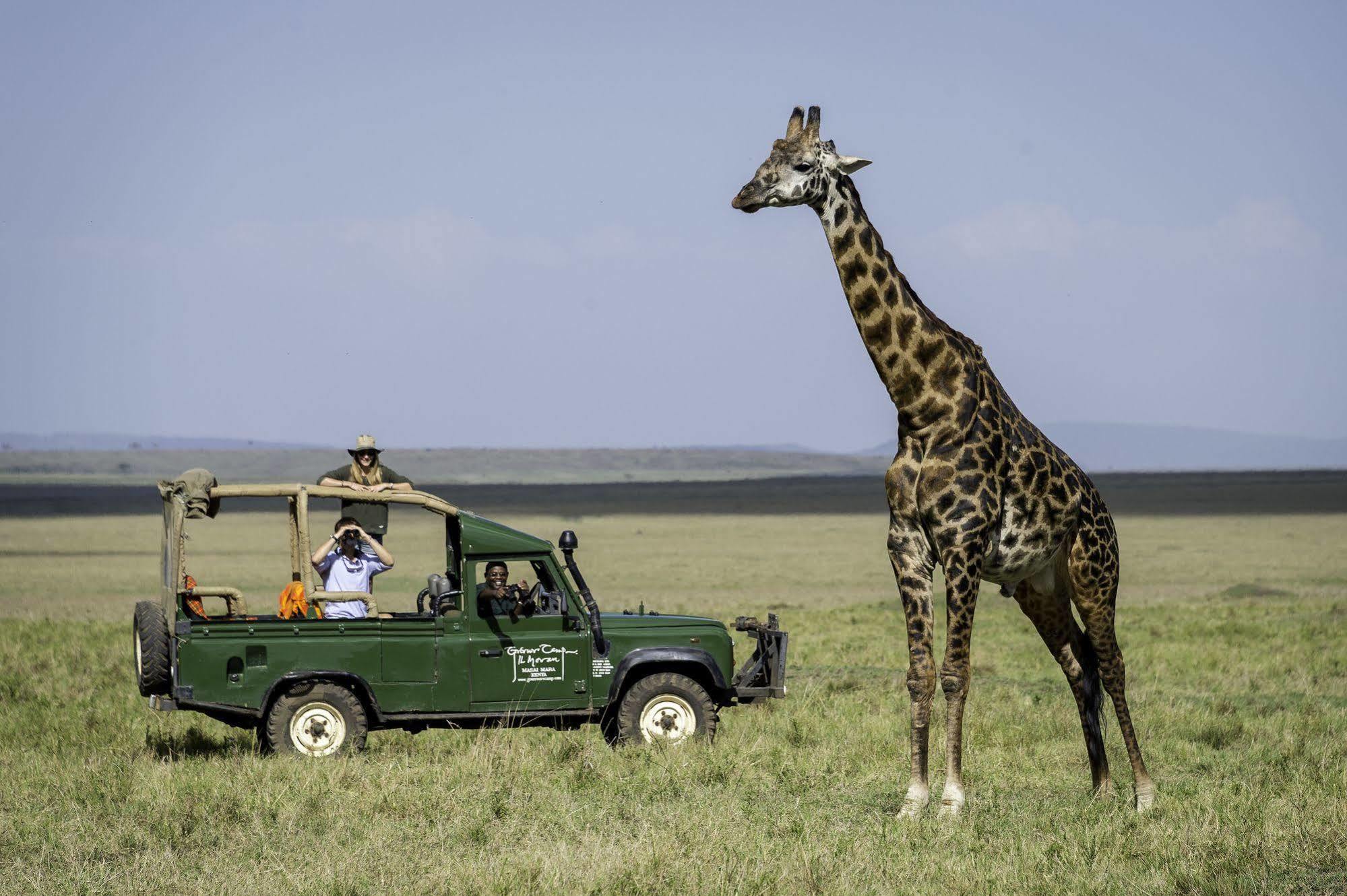 Governors Camp Réserve nationale du Masai Mara Extérieur photo